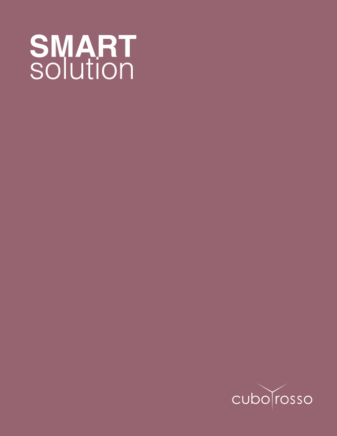 Smart Solution 2024